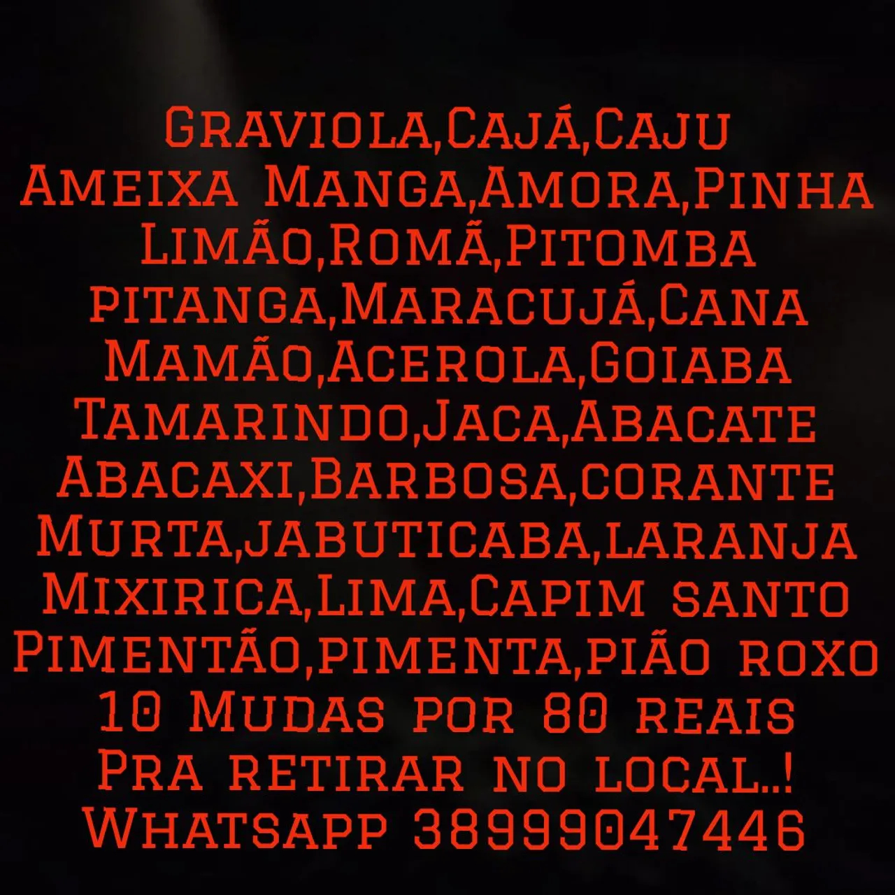 10 mudas por 80 reais