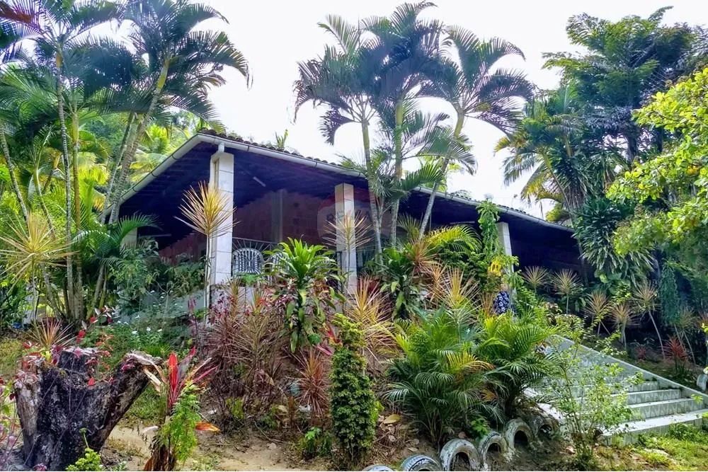Sítio à venda com 56 mil m² - Coqueiros Seco - Alagoas