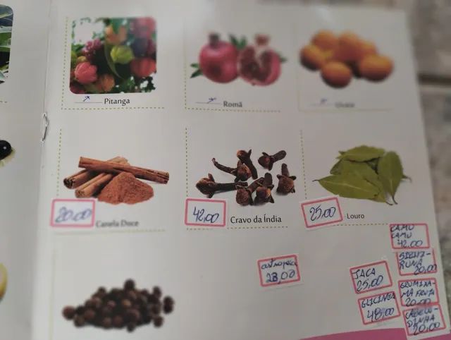Mudas frutíferas a pronta entrega vem nos visitar  - Foto 3