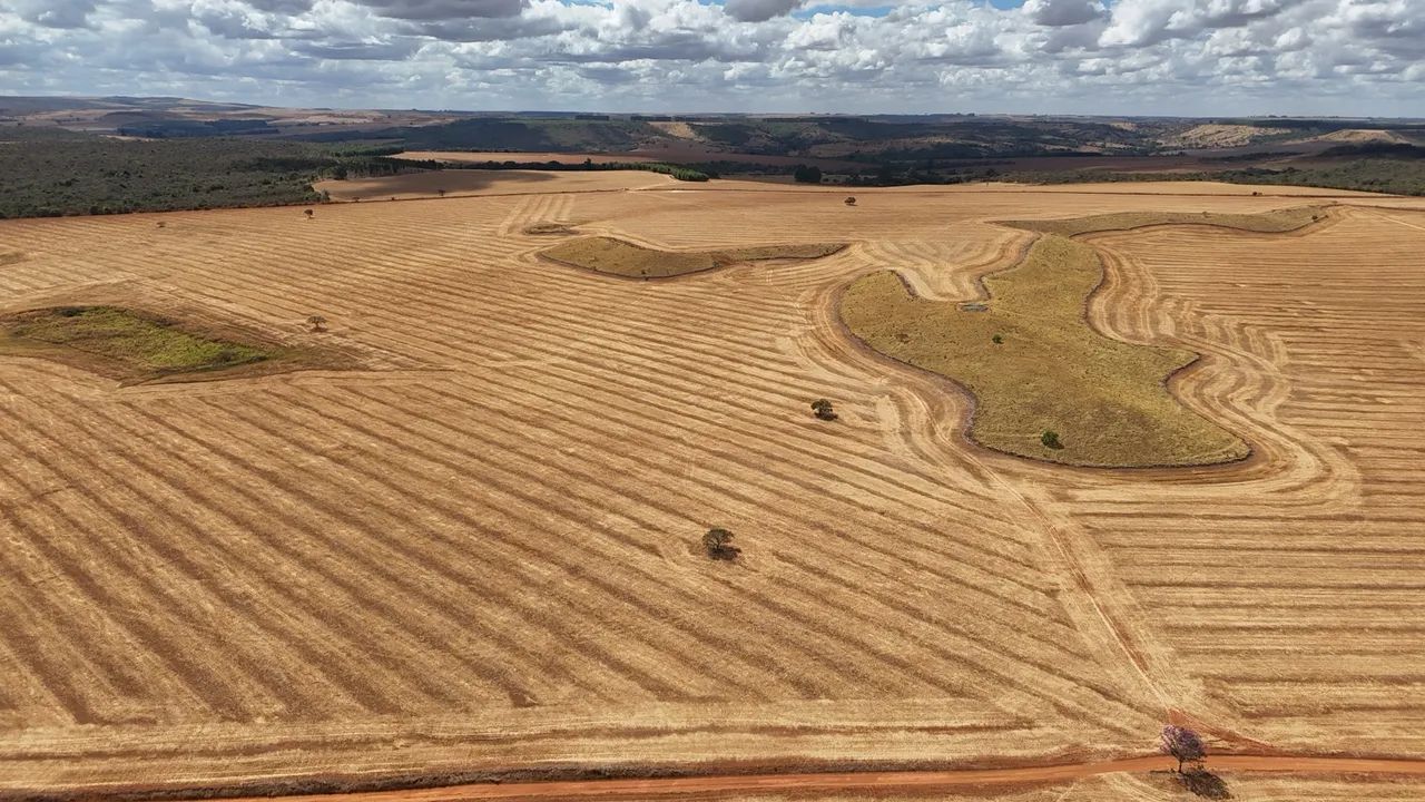 Fazenda de 250  Alqueries    - Foto 2