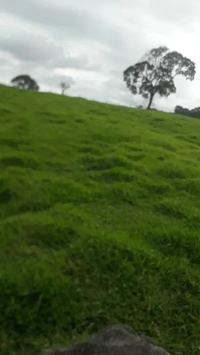 Vendo Chácara  - Foto 4