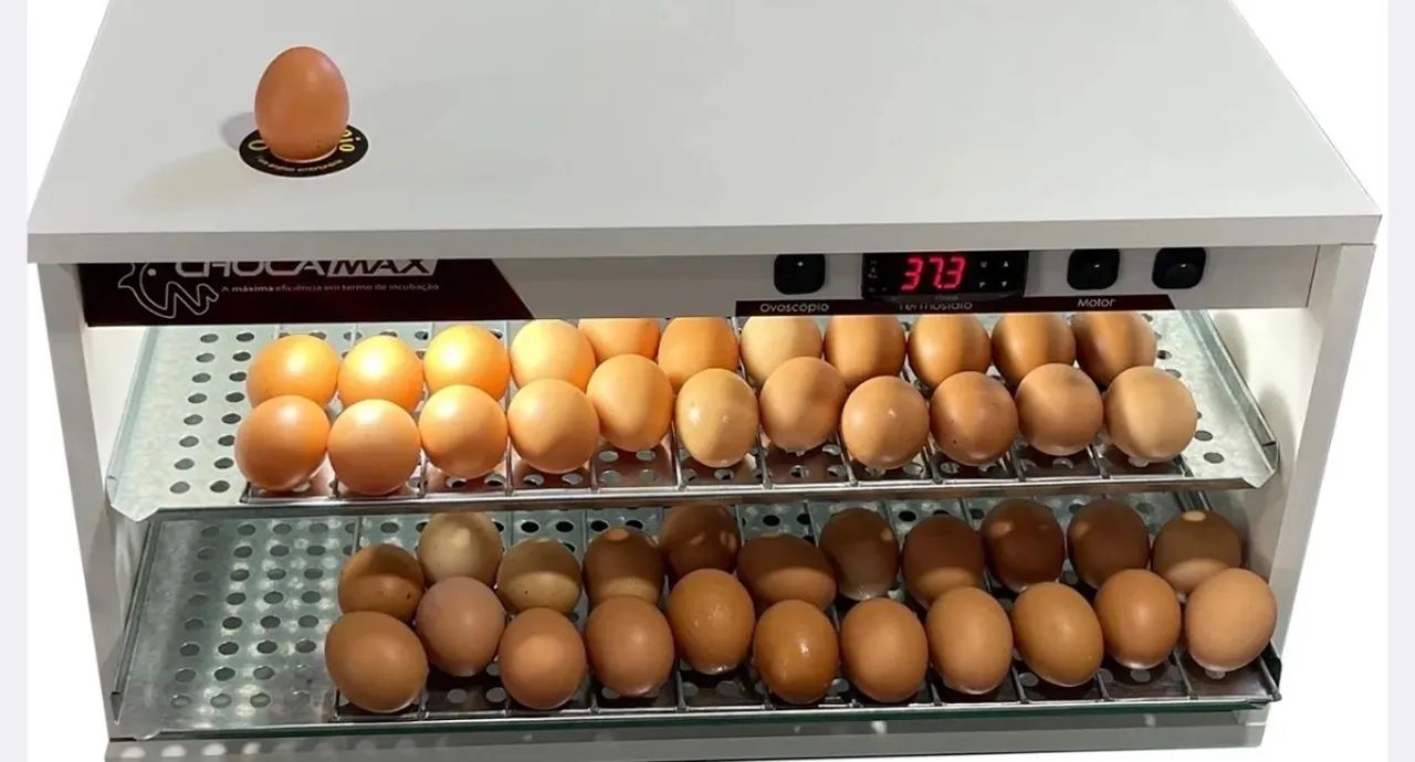 Vendo Chocadeira Chocamax 180 Ovos Automática Digital