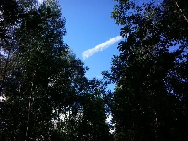 Oportunidade. Excelente Sítio em Nova Friburgo Ótima Área de Terreno - Foto 5