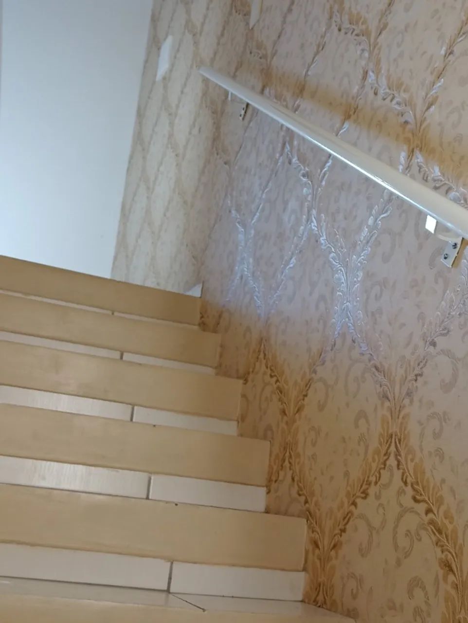 Foto - Joinville - Parque Guarani