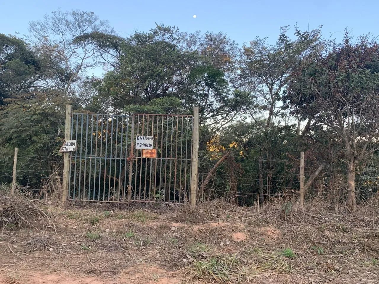 Lotes com escritura e registro  - Foto 3
