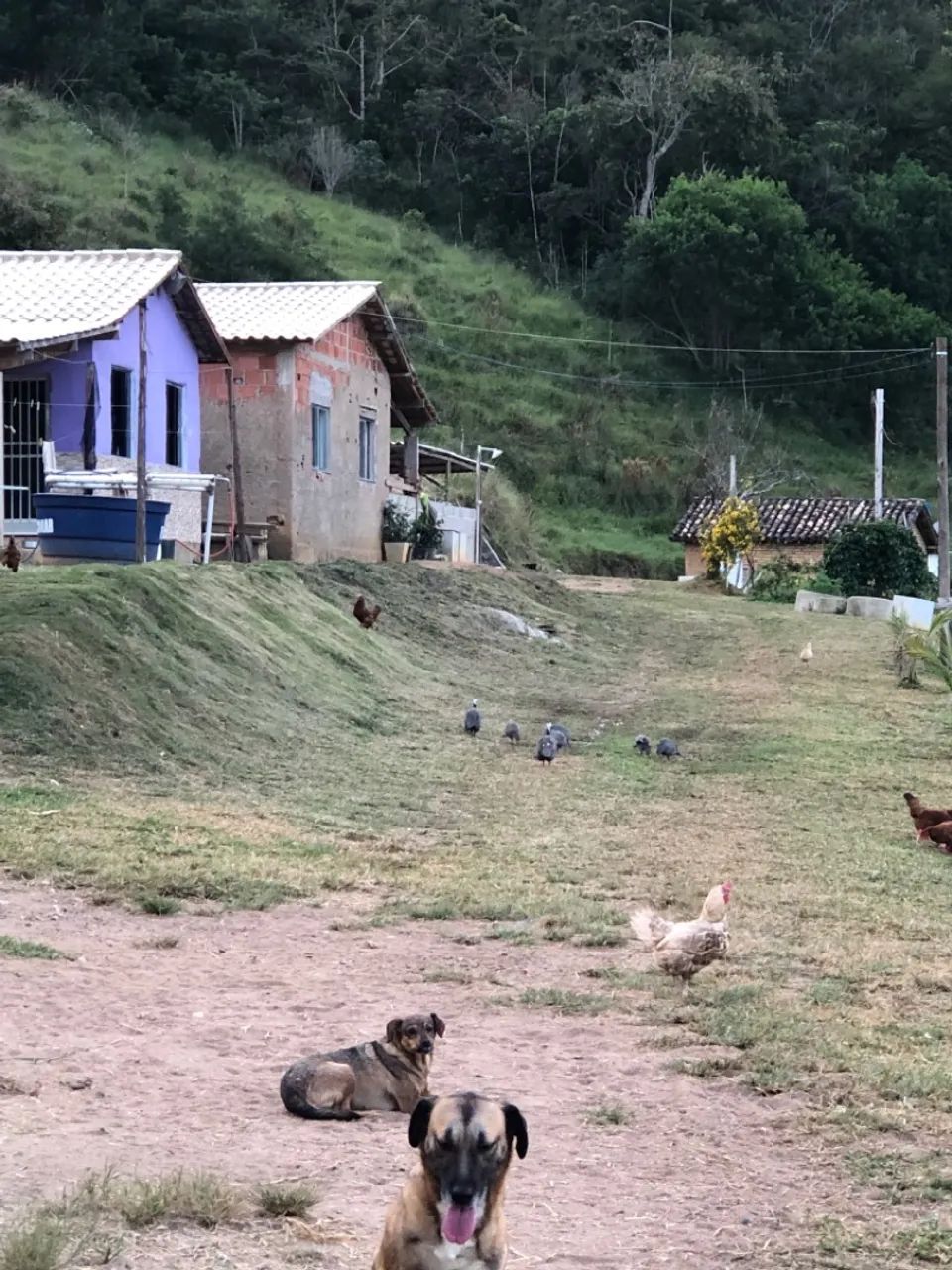 Foto - Bom Jardim de Minas - 