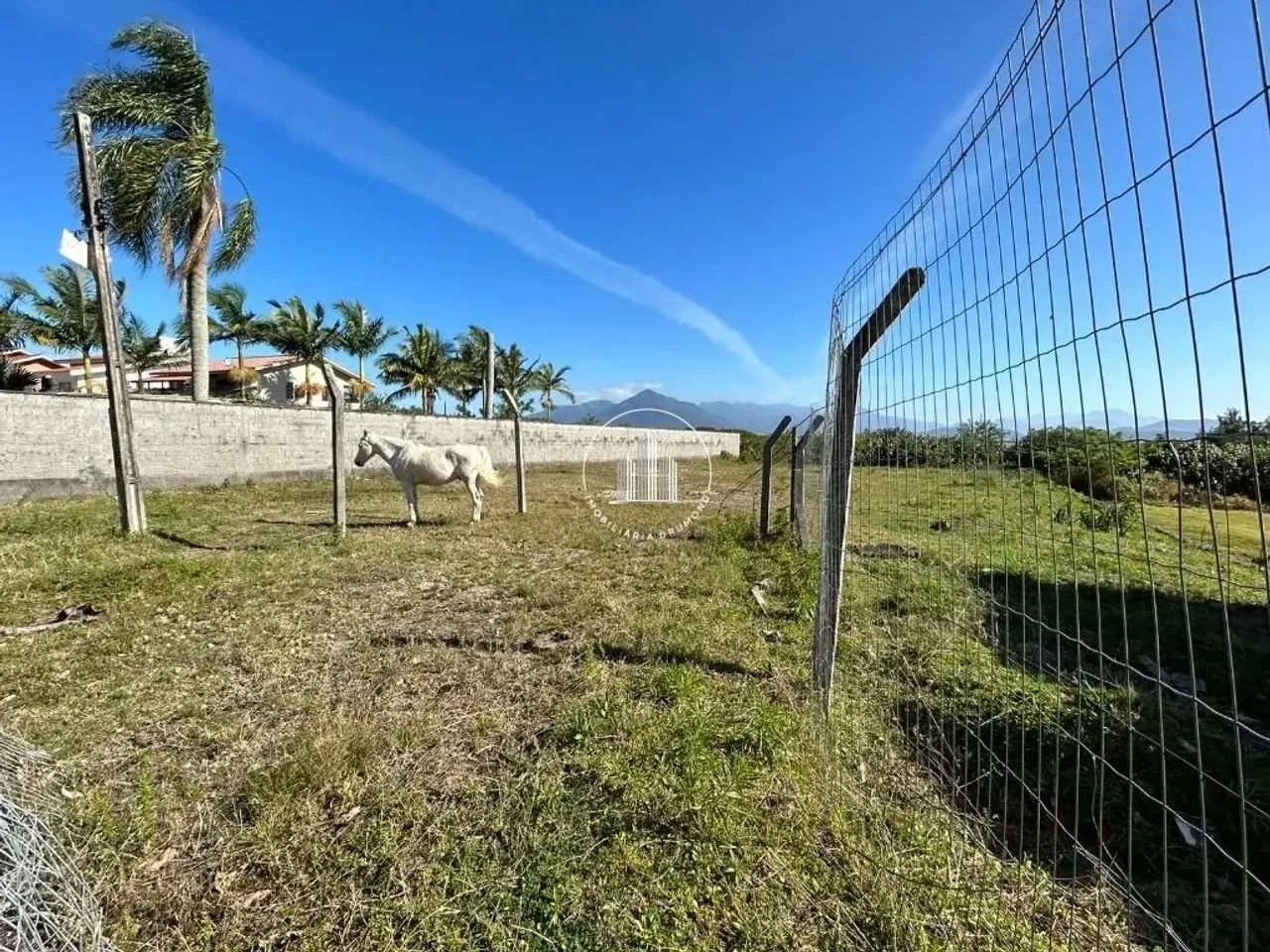 Terreno em Ponta de Baixo - Foto 4