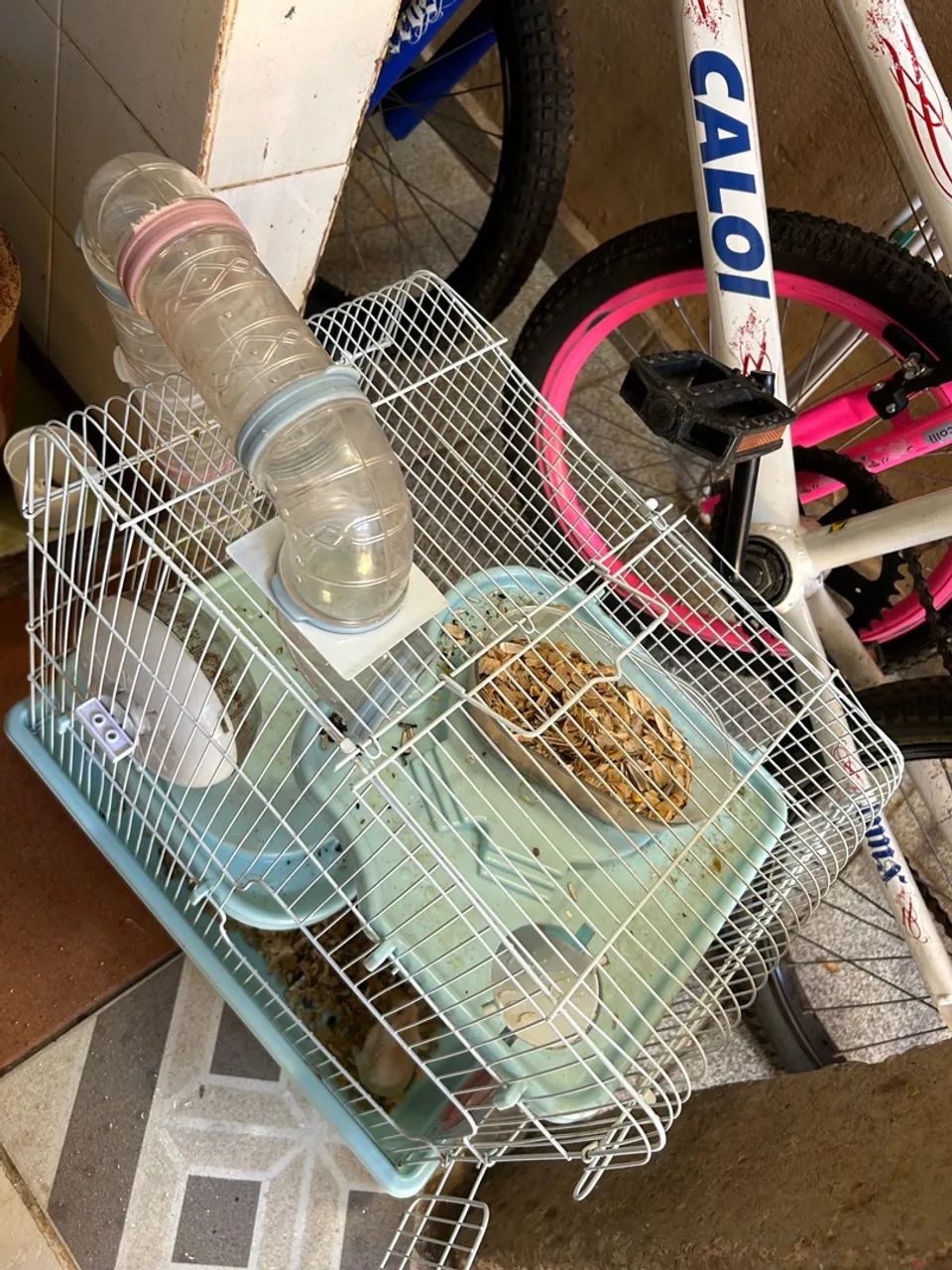 Vendo um hamster já com gaiola  - Foto 3