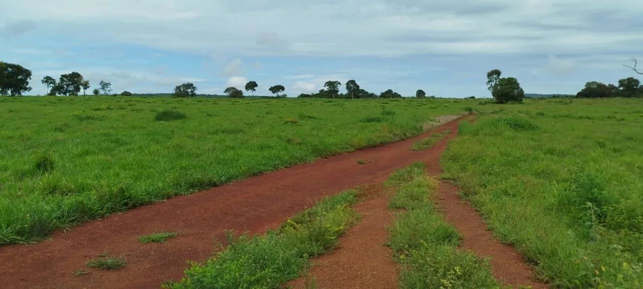 Fazenda entre Palmas to e Barrolândia to - Foto 6