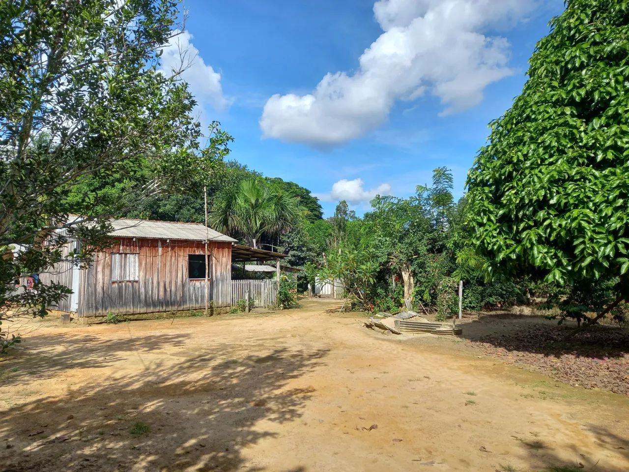 Sítio à venda - Foto 4