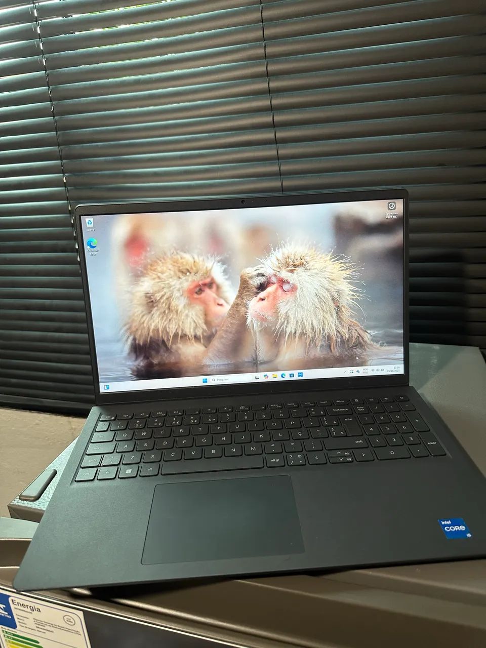 NOTEBOOK DELL 15 i310064302734782082120