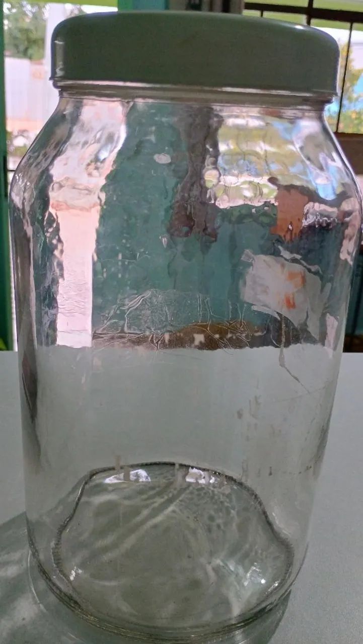 vidro grande de pepino 3.250ml