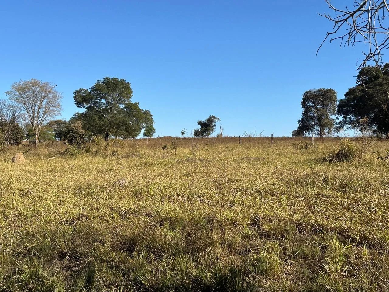 Fazenda a venda  em  - Itarumã - Goiás - Foto 2