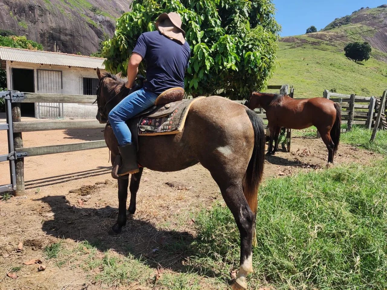 POTRA Q.M REGISTRADA  - Foto 5