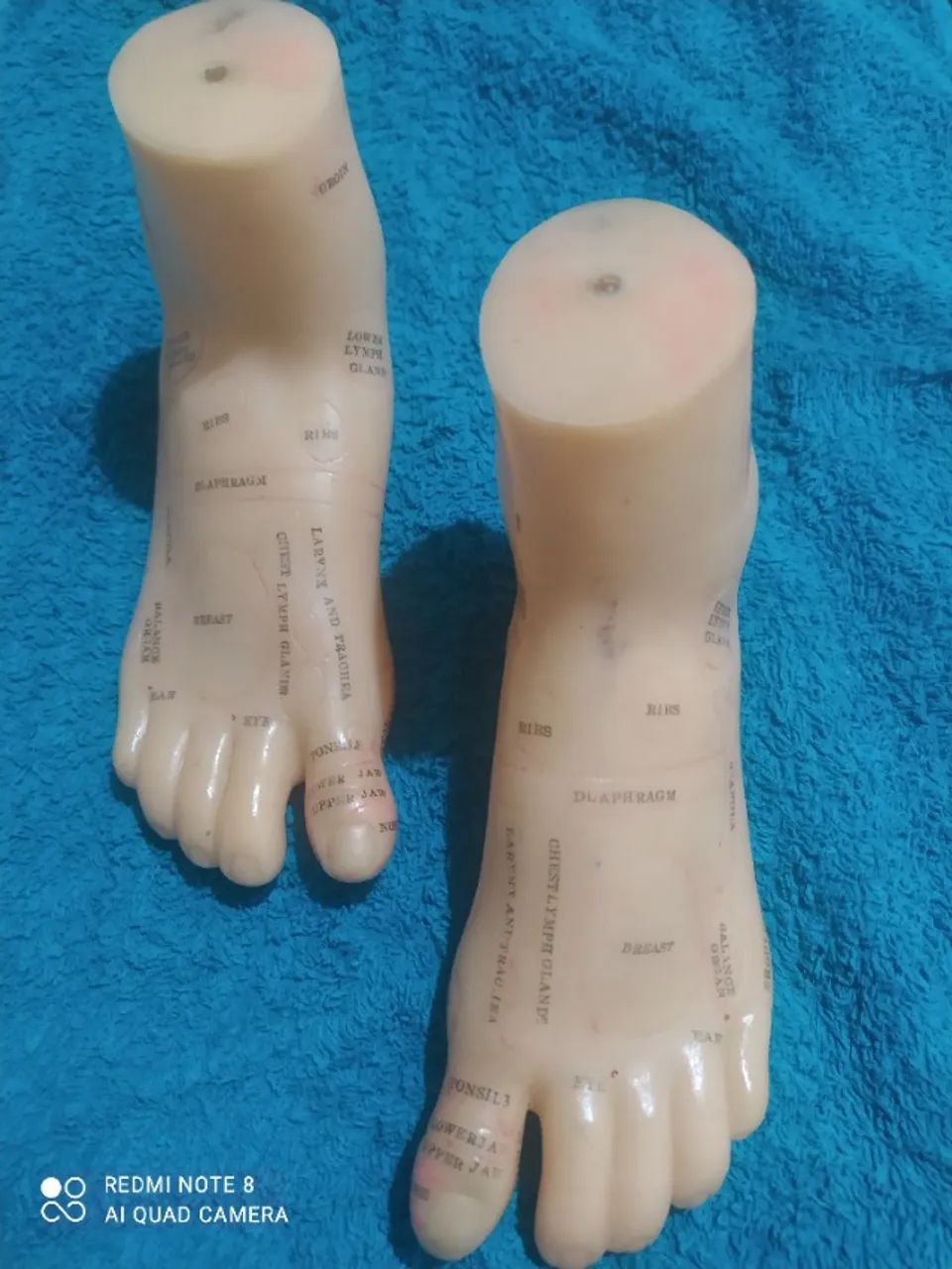 Modelo Anatômico Par De Pés Para Reflexologia - 19 Cm - Foto 2