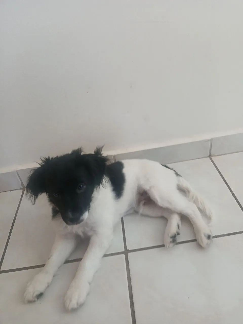 vendao