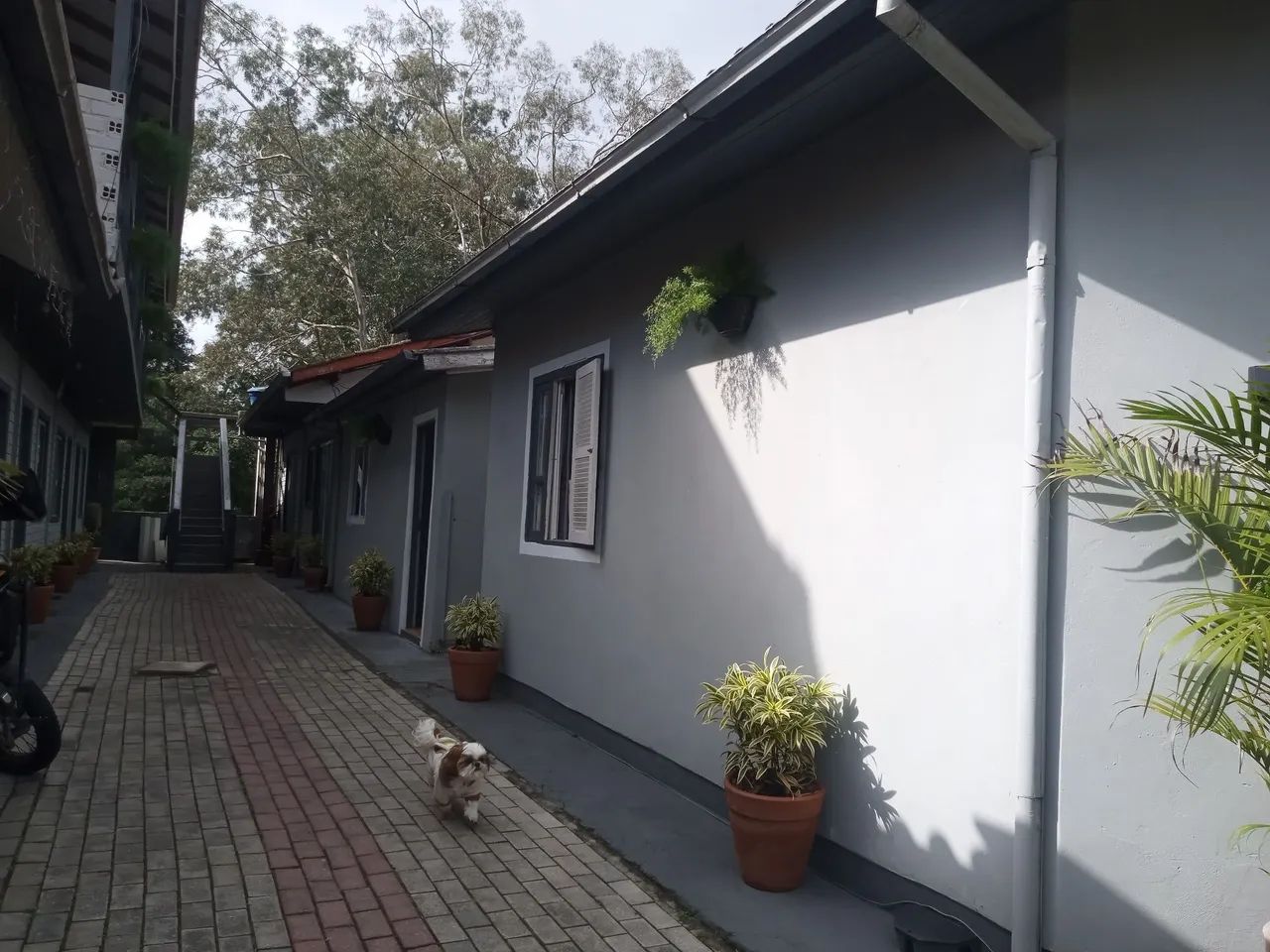 Alugo casa 2 quartos lagoa da conceição  - Foto 5