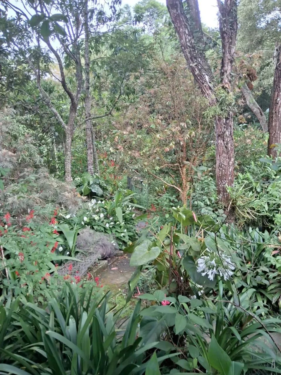 Casa de condomínio em Cotia, terreno com 1.100m2
