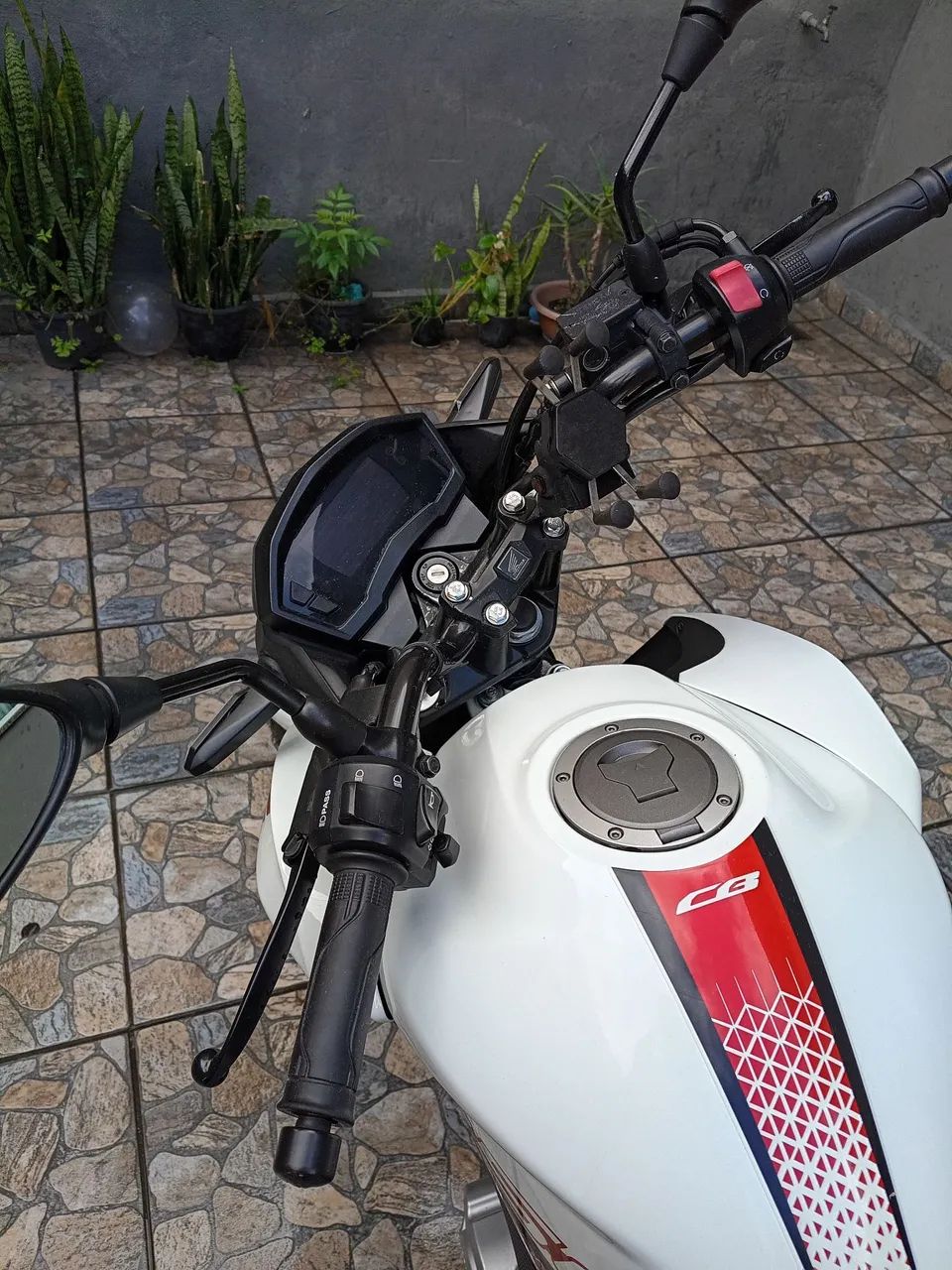 Moleza  - Foto 2