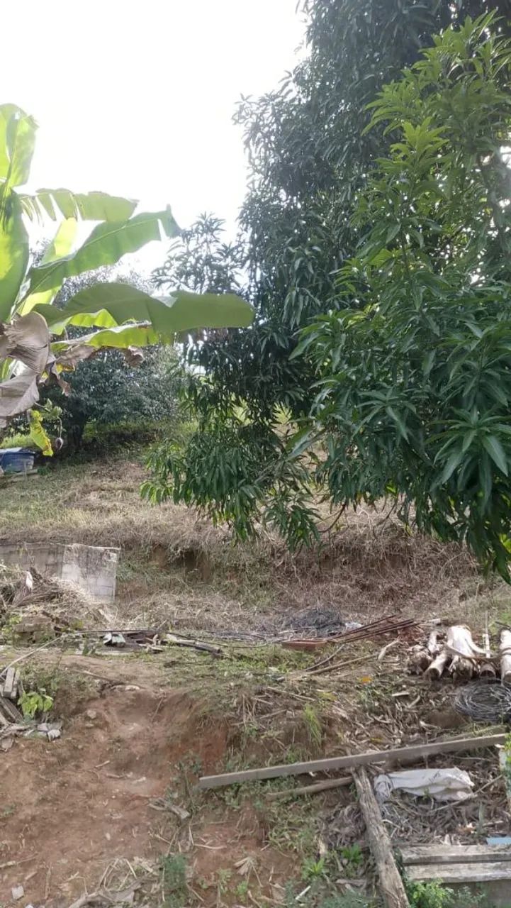 Terreno em frexeira  - Foto 2