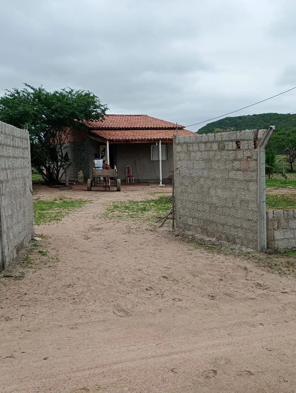 Vende-se uma casa com terras  - Foto 2