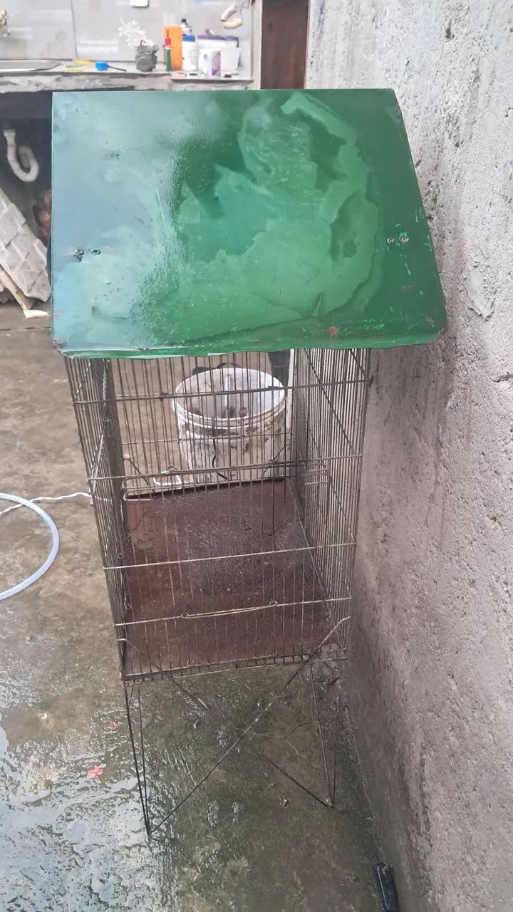 Viveiro para pássaros e Animais  - Foto 4
