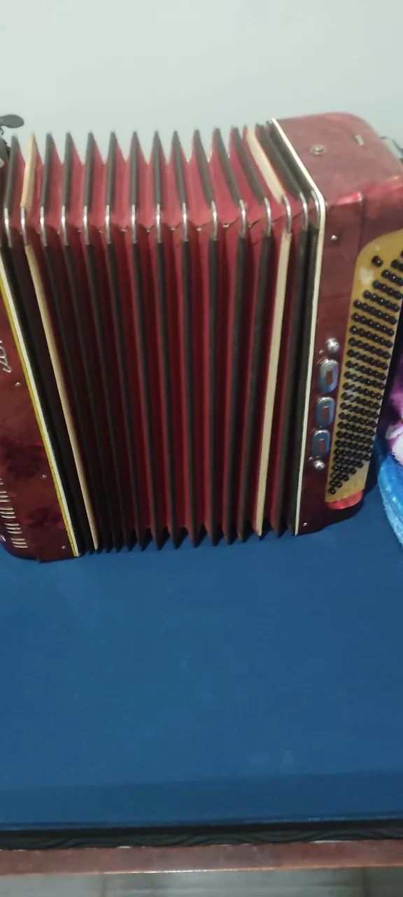 Acordeon sonelli 120