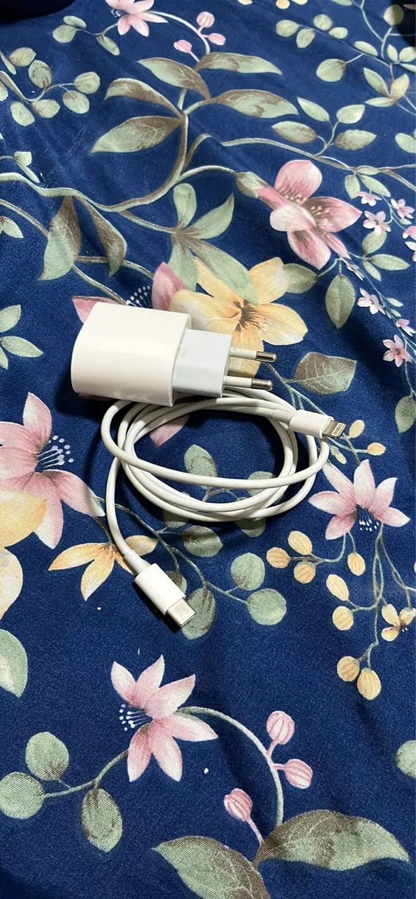 Kit Carregador USB-C + 1 cabo  (Lightning e USB-C para USB-C) - Foto 2