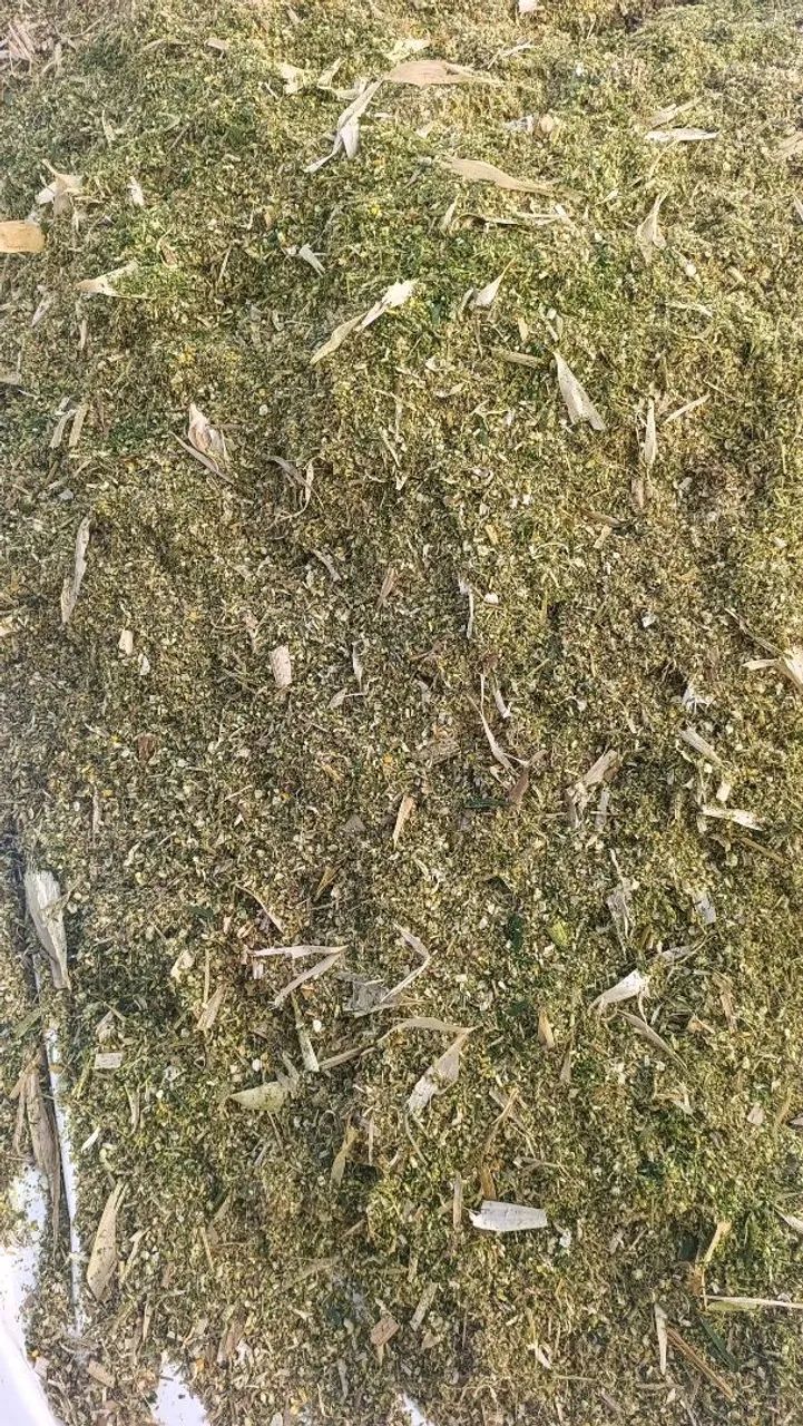 Silagem de Milho Ensacada - Foto 2