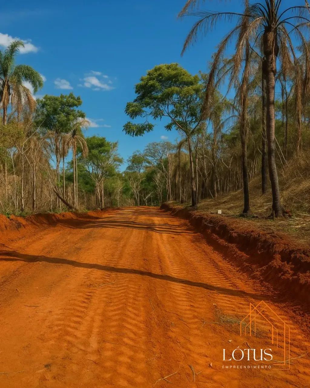 FÁCIL ACESSO E UMA EXCELENTE OPORTUNIDADE - Foto 5