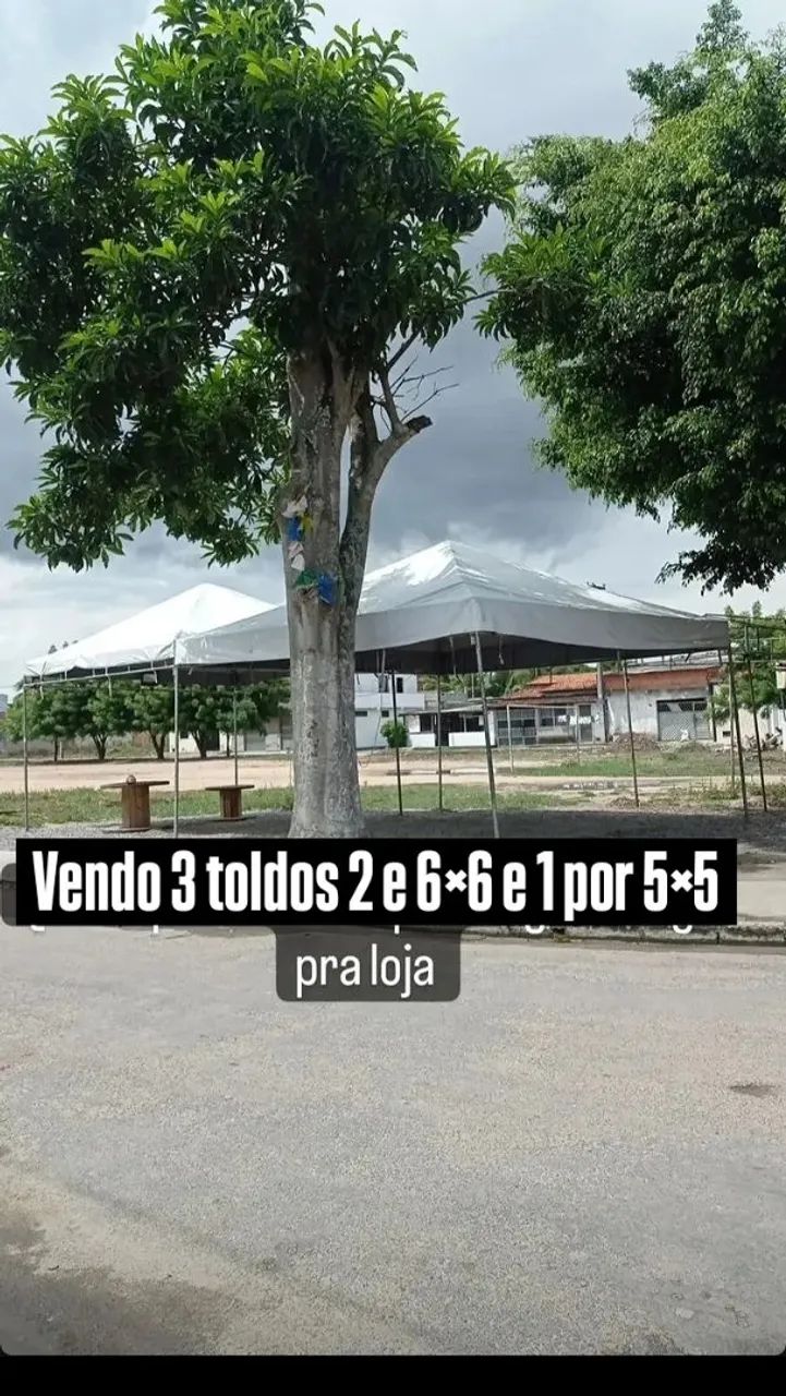 toldos