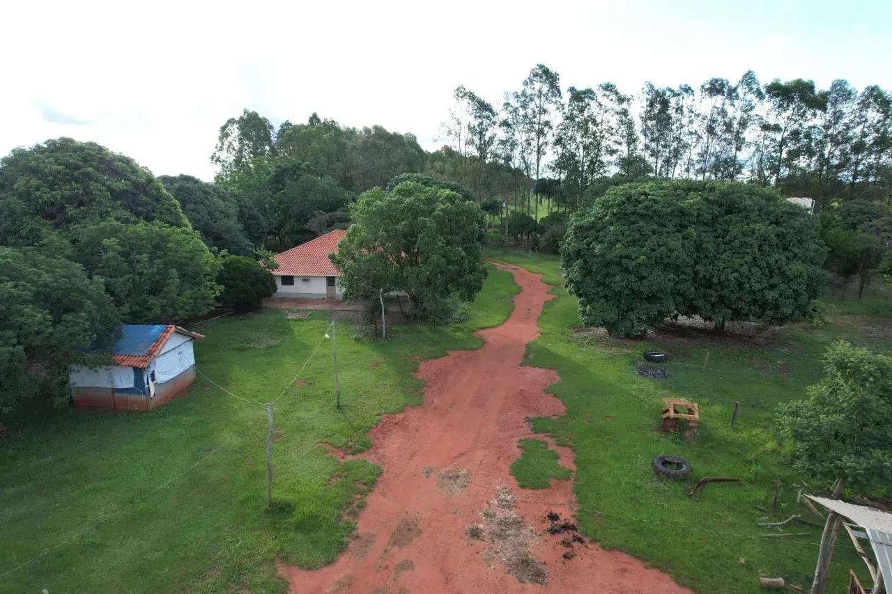 CÓD456  Fazenda 800 ha Dupla Aptidão | Rio Verde/MS - Foto 2