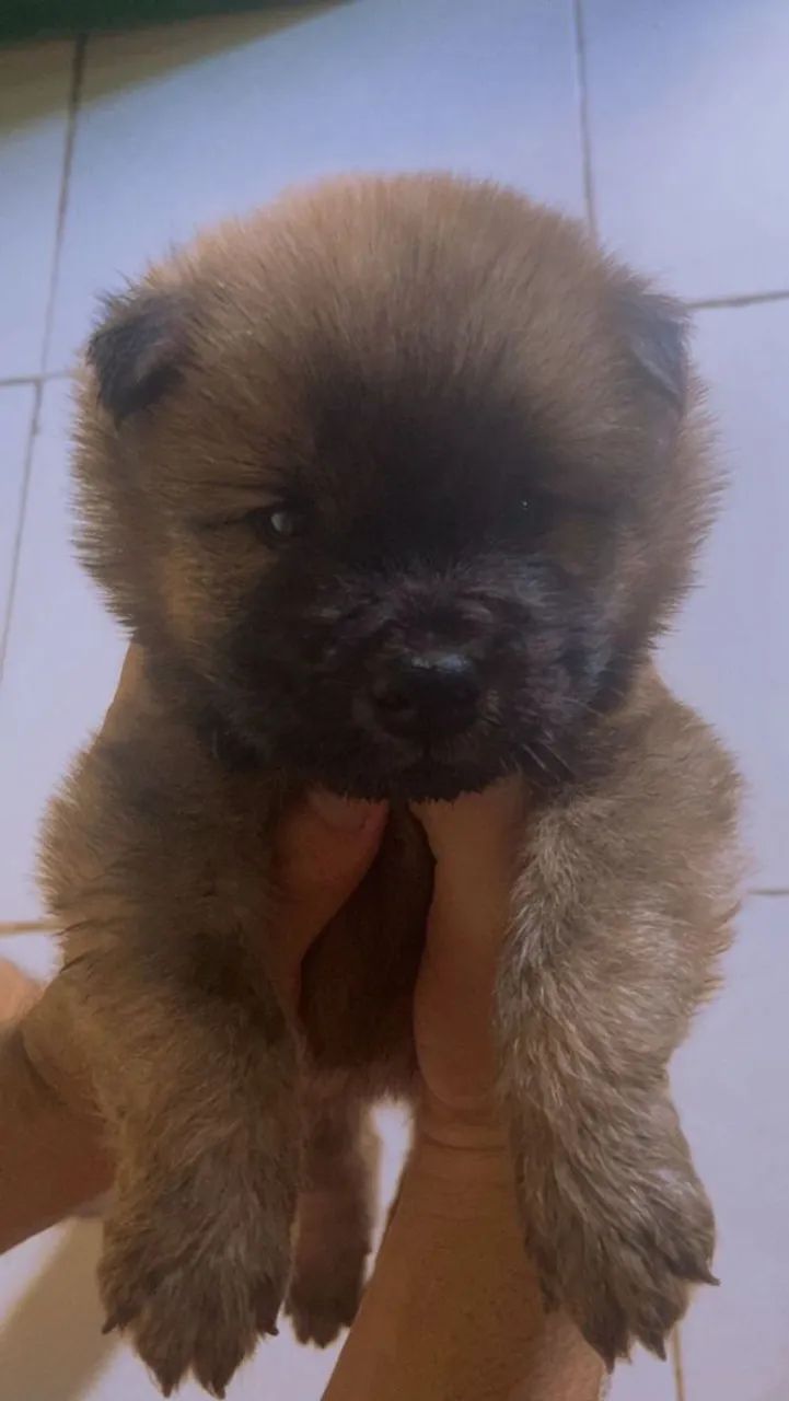 1 mes de nascid - Foto 3