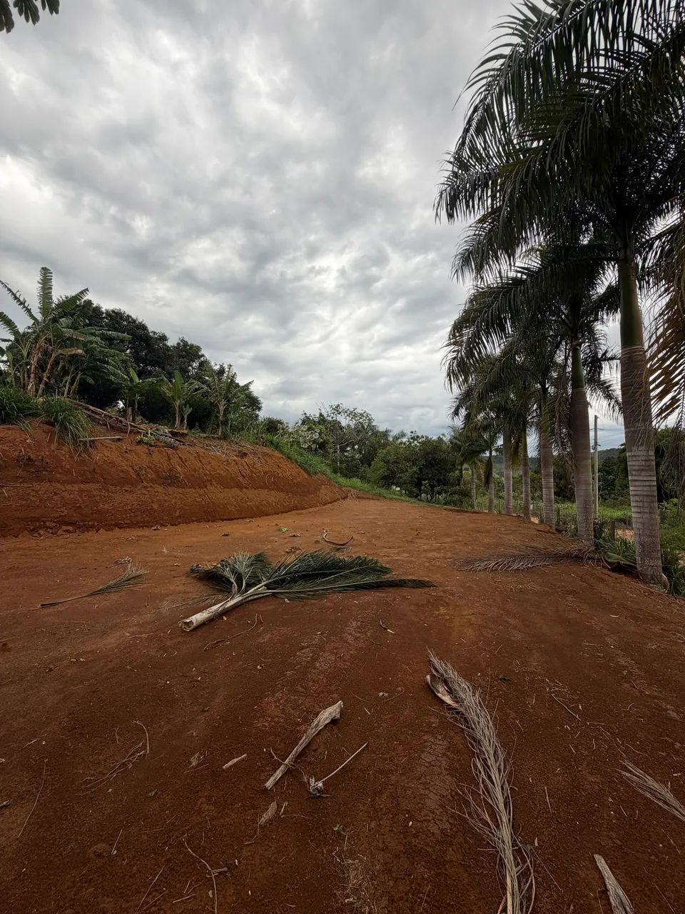 Vende-se chácara no Lavrinha/Quilombo - Foto 5