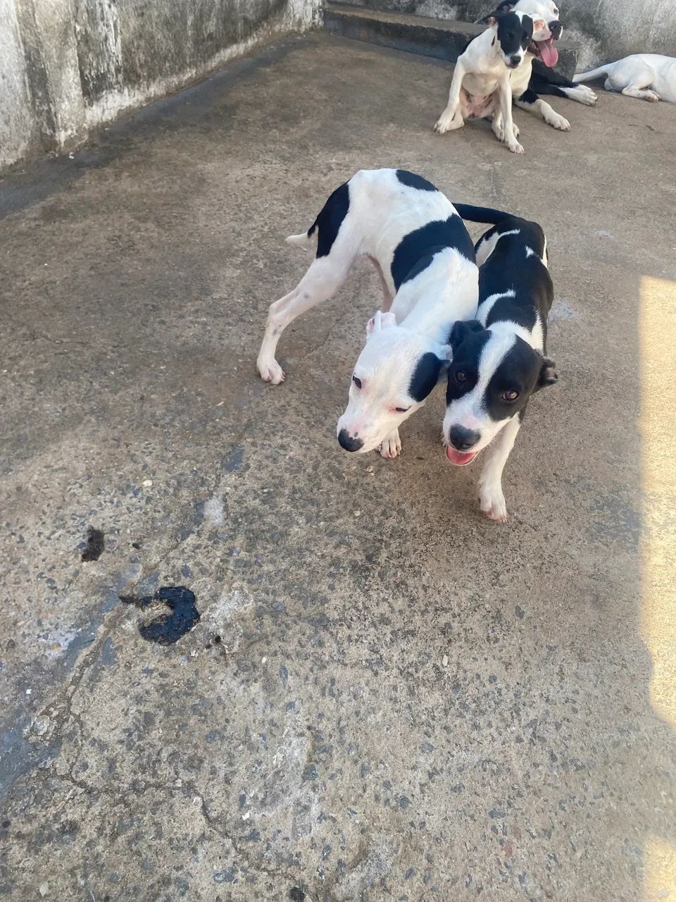 Doação  - Foto 2