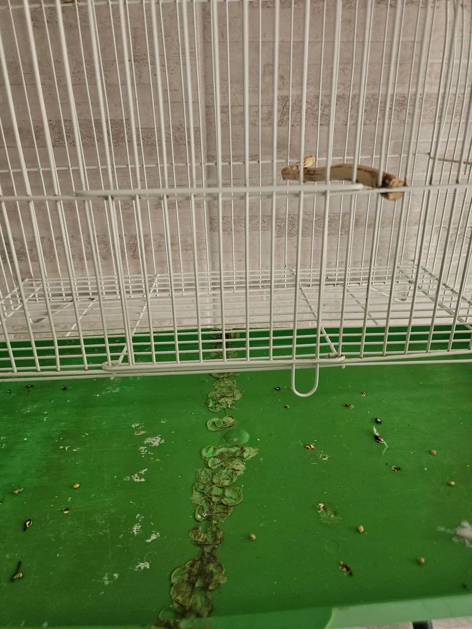 Gaiola periquito  - Foto 3