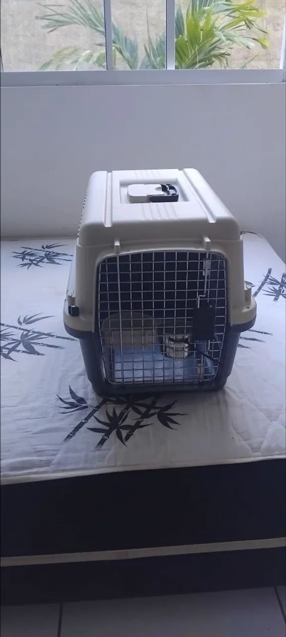 Transporte de pet