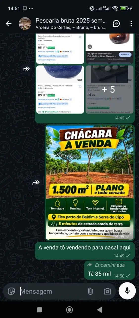 Lotes e chácaras preço baixo pra vender rapido - Foto 2