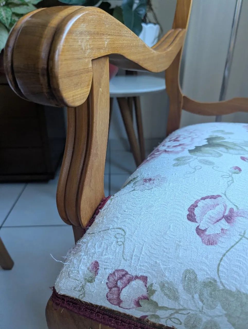 Cadeiras Clássicas Paraju - Foto 4