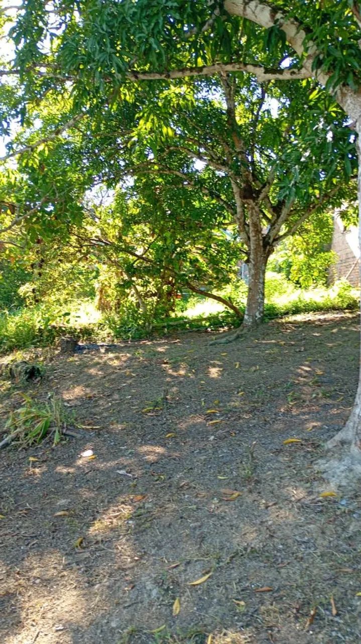 Terreno Brasileirinho 10x32m - Foto 2