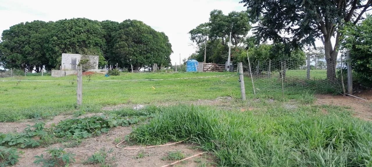 Sítio no bairro da Sabiaúna (( Itapetininga)) com ((1.5 alqueires e meio)) moradia simples - Foto 5