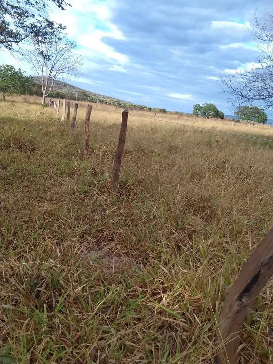 Chácara  - Foto 5