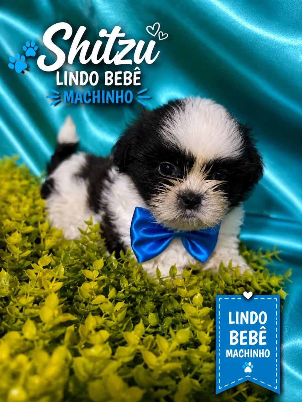 Lindo bebê menino disponível 