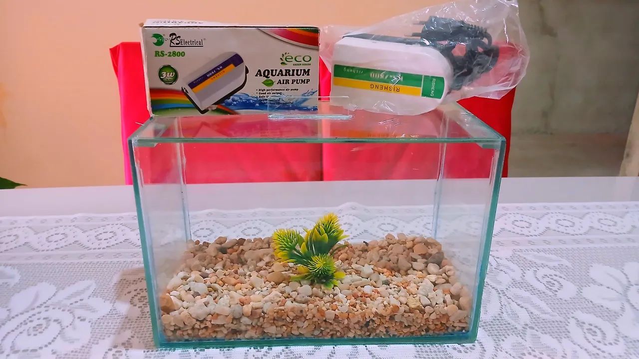 Aquários  - Foto 2