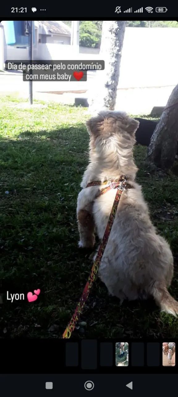 Lhasa