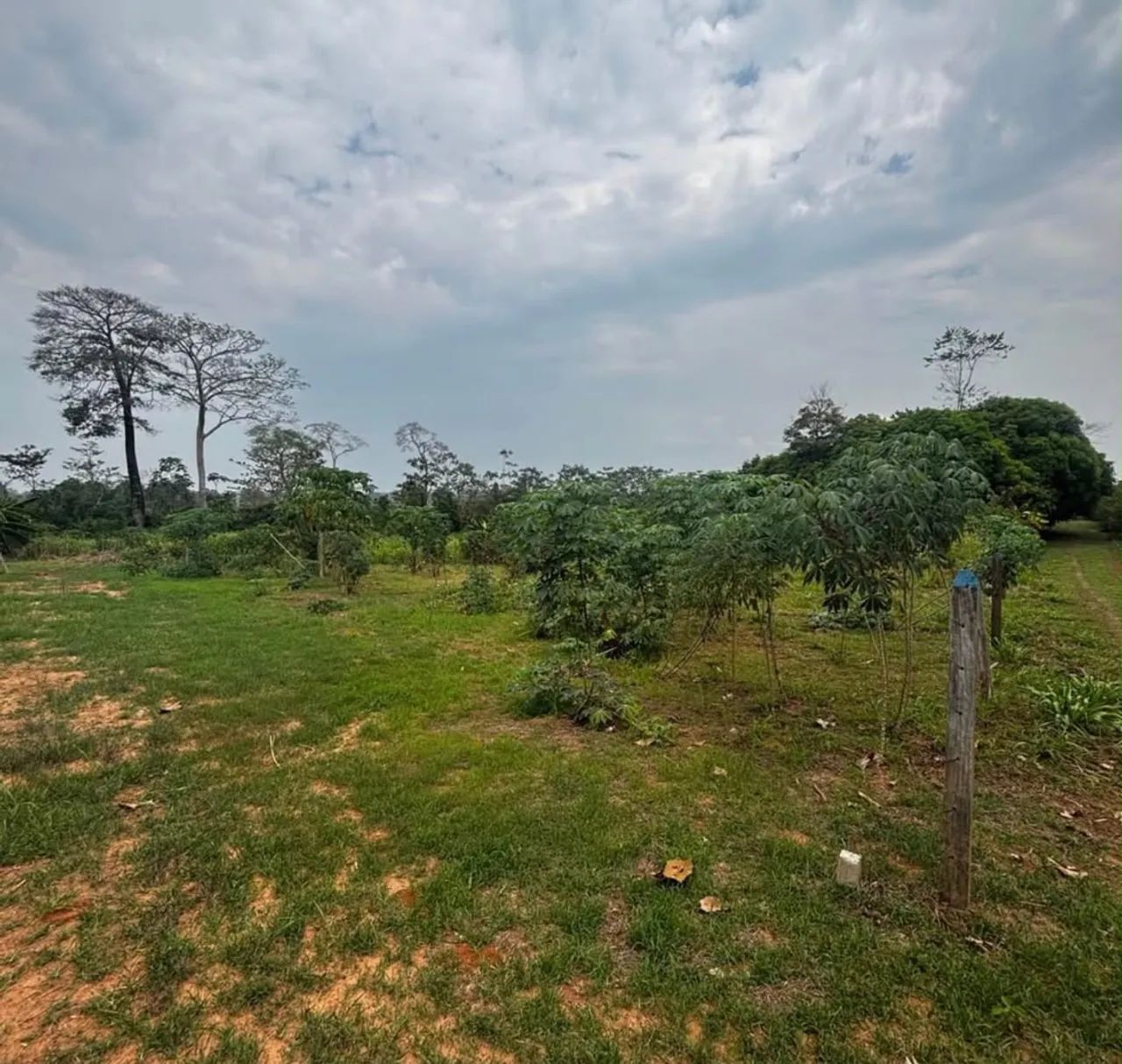 Vende-se Terreno medindo 20x40 - Foto 2