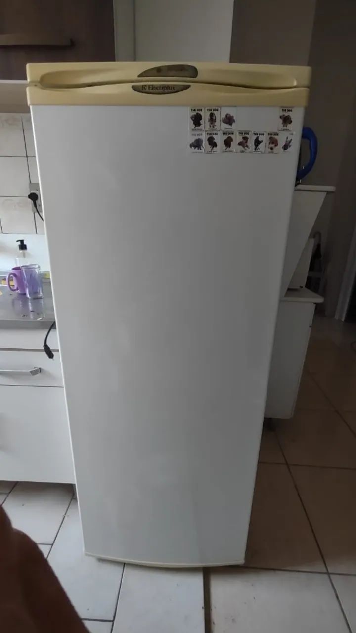 Geladeira e Freezers
