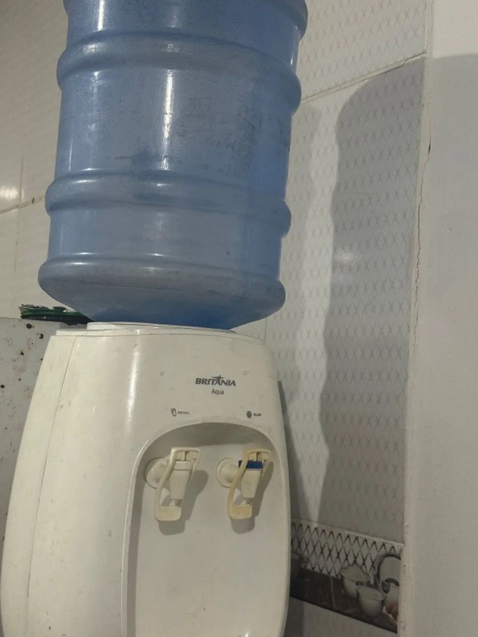 Bebedouro com galão 