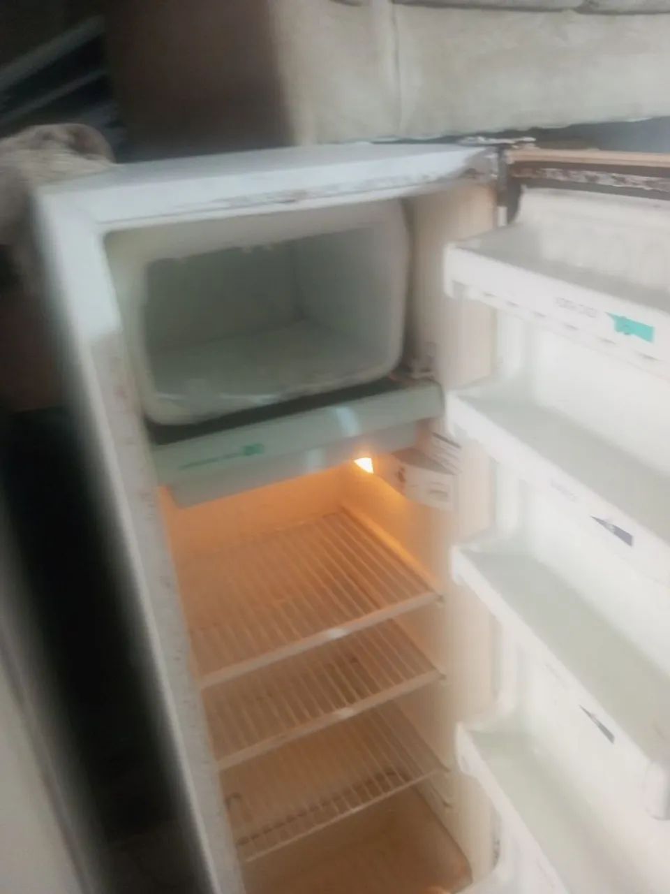 Jeladeira  - Foto 3