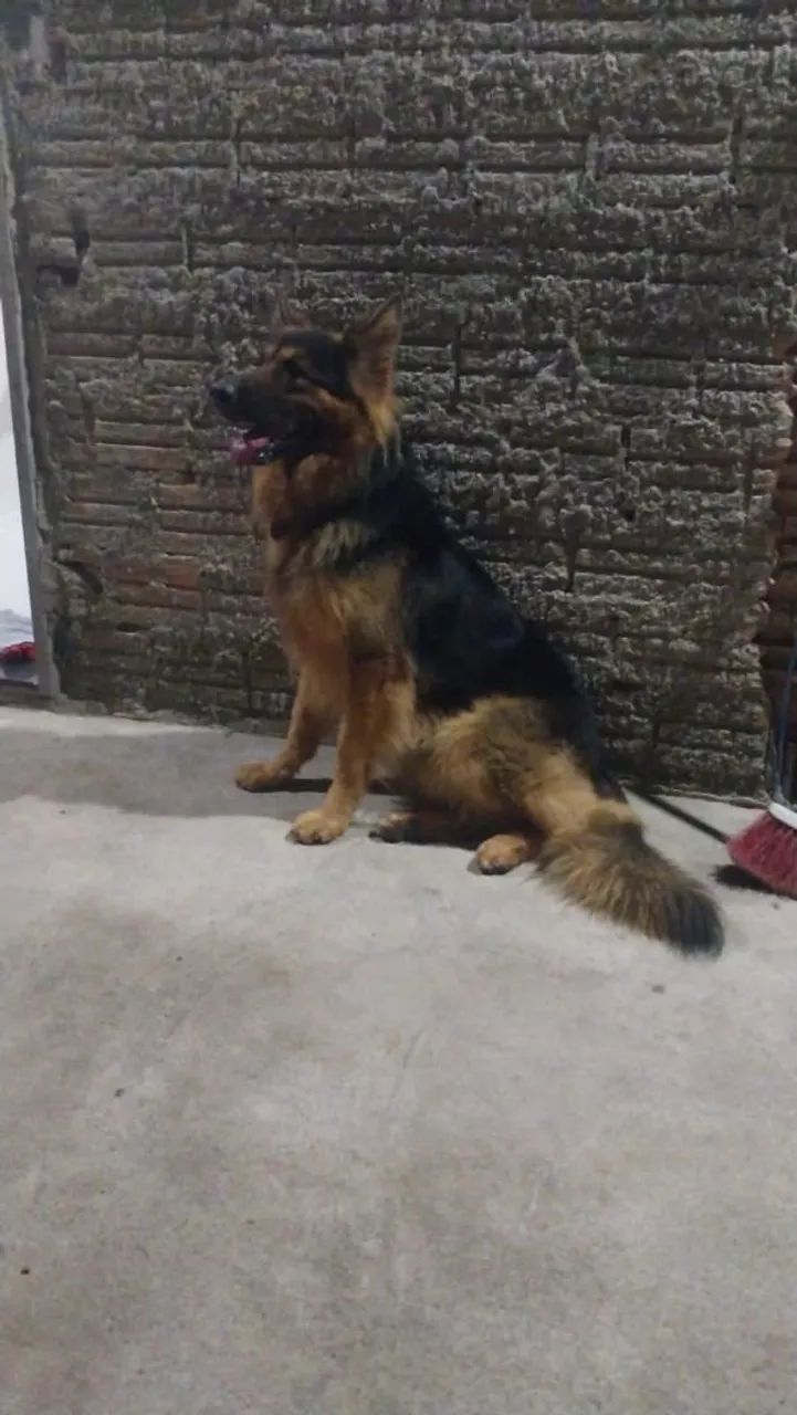 Diego santos  - Foto 2